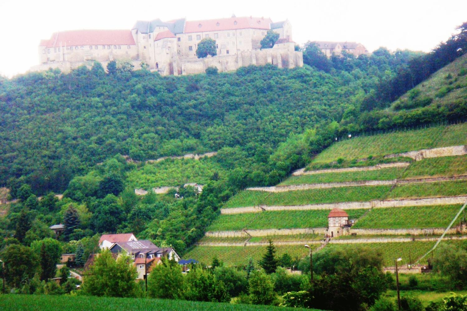 Landhotel Weingut Schulze Freyburg Kültér fotó