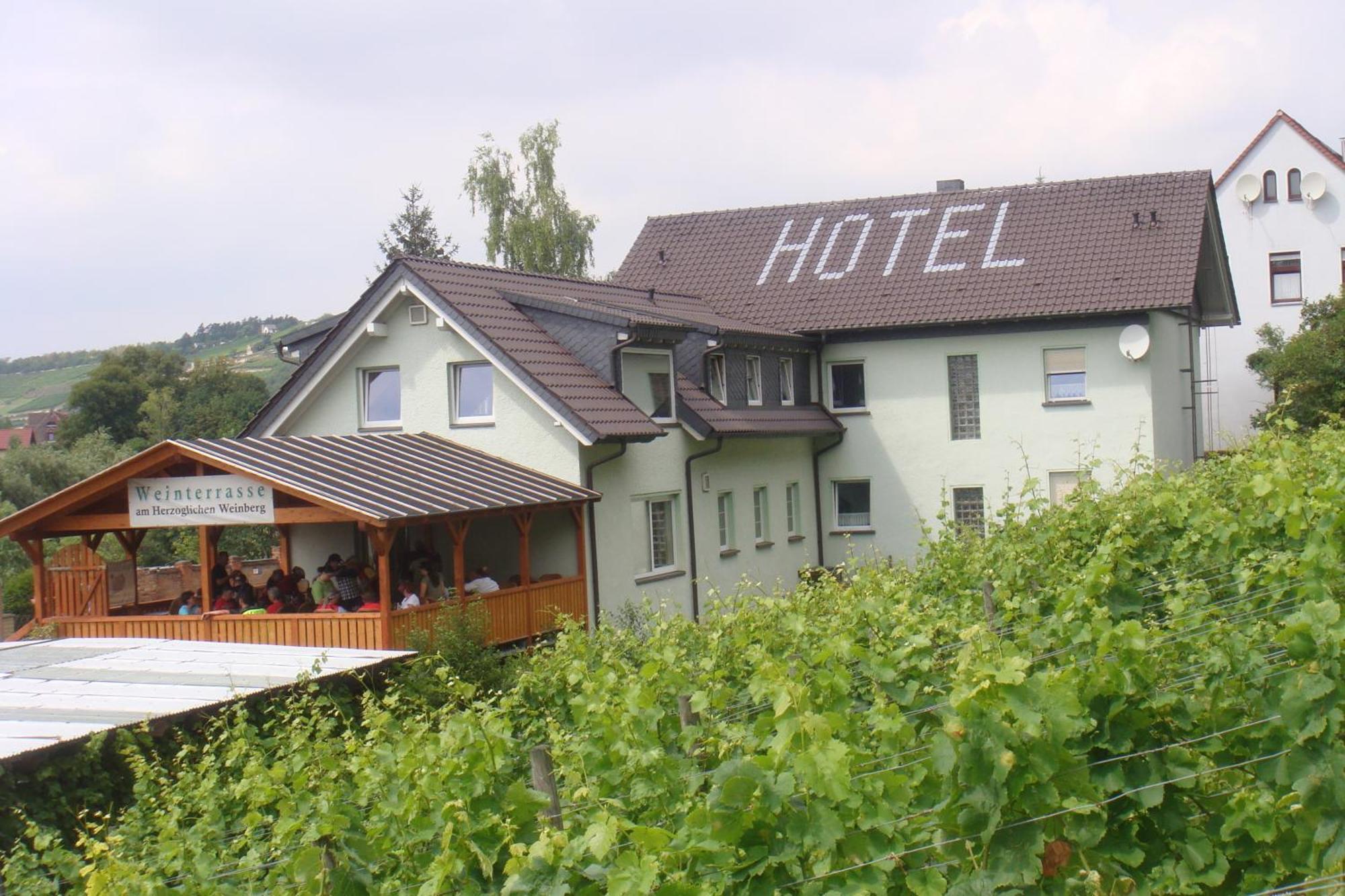 Landhotel Weingut Schulze Freyburg Kültér fotó